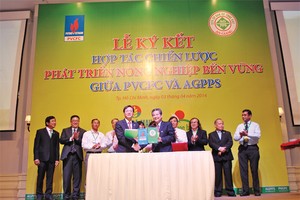 Đạm Cà Mau và AGPPS hợp tác chiến lược