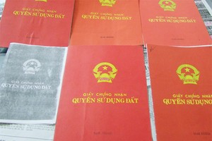 Cung đã sử dụng sổ đỏ giả lừa bán đất cho nhiều người và thế chấp vay vốn ngân hàng