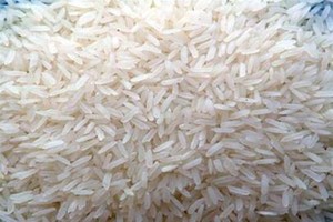 Gạo Nàng thơm Chợ Đào và thanh long Châu Thành được cấp chứng nhận bảo hộ độc quyền tại Hoa Kỳ