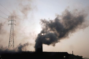 Tổ chức, cá nhân gây ô nhiễm, suy thoái môi trường, phải có trách nhiệm khắc phục hậu quả