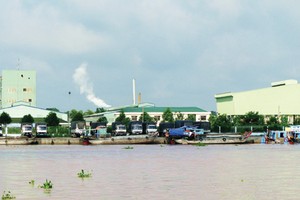 Đồng Tháp là tỉnh tập trung nhiều nhà máy chế biến thủy sản      