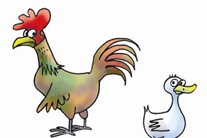 Đất xen kẹt, quảng cáo gà, hóa ra… bán vịt