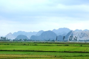 Yêu cầu bố trí vốn để thu hút đầu tư vào nông nghiệp