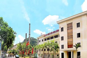 NBP: Khó bán điện, kế hoạch lợi nhuận giảm mạnh