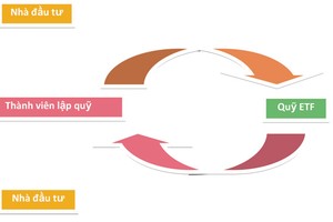 Sở GDCK vào cuộc đào tạo ETF