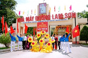 LSS thận trọng  triển khai Dự án nông nghiệp công nghệ cao