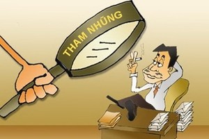 Công ty đại chúng minh bạch “vừa đủ để thanh tra”