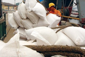 Có nhiều động thái cho thấy thị trường gạo thế giới có thể chuyển hướng