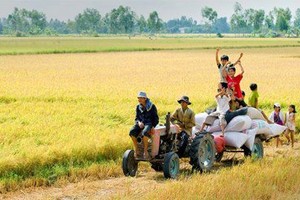 TSC: FIT có thể nắm tới 75% vốn điều lệ