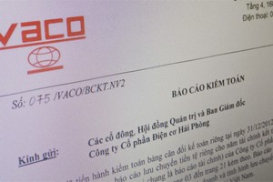 BCTC năm 2012 của DHP thể hiện khoản lợi nhuận sau thuế chưa phân phối hơn 12 tỷ đồng 