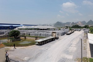 Khoảng 3.500 văn bản hướng dẫn đã được các bộ, ngành ban hành mỗi năm để xử lý các vụ việc cụ thể của doanh nghiệp    