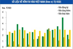 Cần một chính sách rõ ràng trong thu hút vốn ngoại
