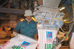 DPM ước lãi 660 tỷ đồng trong 6 tháng