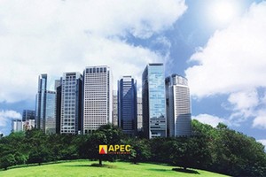 API lập công ty con để triển khai 2 dự án