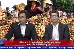 Bản tin Rapnews số 16