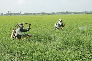 Tỷ lệ bồi thường bảo hiểm nông nghiệp lên tới 178,1%