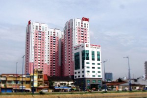 CDC liên tục hoãn trả cổ tức do vốn 
bị đọng trong dự án bất động sản