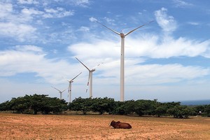 Điện gió đang được khuyến khích đầu tư tại Việt Nam 