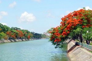 Hải Phòng giải phóng mặt bằng cho Dự án Sân bay Cát Bi