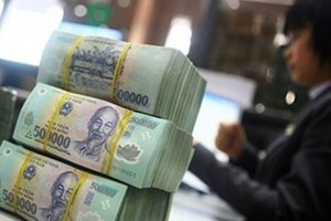 Cần làm rõ khái niệm “Vốn nhà nước tại doanh nghiệp”