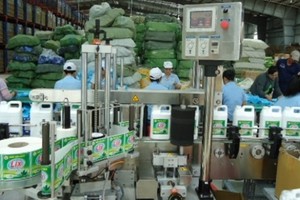 LIX: EPS 6 tháng đạt 1.606 đồng