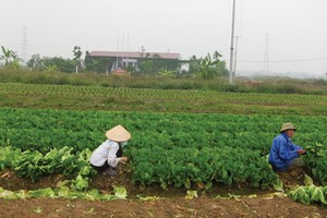 Mê Linh là địa bàn có nhiều dự án hoang của Hà Nội, trong đó, có nhiều chủ đầu tư, cơ quan chức năng không thể liên hệ được