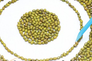 Nghệ thuật làm báo cáo từ những bàn tay khéo léo