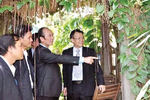 Chủ tịch TTF trao đổi với các đối tác của Công ty