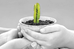 TDH bền bỉ dựng xây giá trị