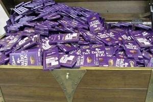 Dairy Milk muốn nuôi bò, chế biến sữa ở Vĩnh Phúc