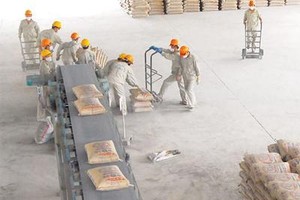 HOM đạt lợi nhuận 24,2 tỷ đồng trong 6 tháng