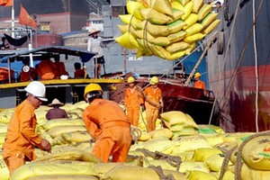 Thái Lan đang “điều khiển” thị trường gạo thế giới