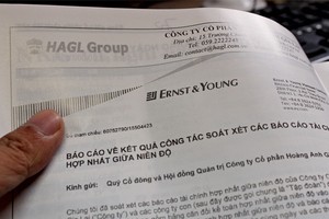 Kiểm toán Việt Nam tăng trưởng 20%