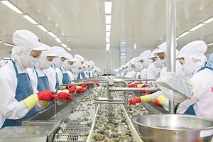 Red River Holding không thoái vốn tại MPC và VHC