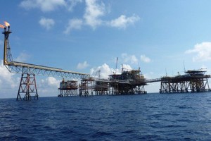 Lỗ lớn, doanh nghiệp họ dầu khí đưa nhau ra tòa