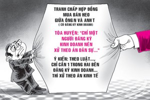 Thủ tướng yêu cầu tránh hình sự hóa án kinh tế