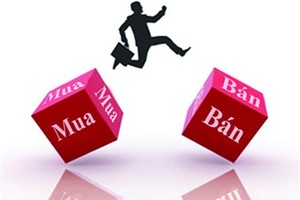 6 tháng, Quản lý quỹ Việt Cát lỗ 332 triệu đồng