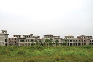 Sudico lên kế hoạch mở bán sản phẩm đất nền biệt thự Dự án Nam An Khánh trong thời gian tới đây
