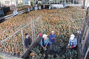 Chính phủ đạt mục tiêu tăng trưởng GDP 6,2%, trong khi tổng vốn đầu tư toàn xã hội chỉ  27,7% GDP - Ảnh: Hoài Nam