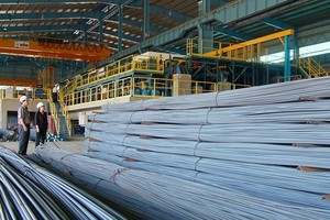 TLH chuẩn bị trả cổ tức 10% bằng tiền mặt