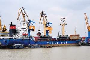 Cuối tháng 12 tới, Vinalines sẽ trình phương án cổ phần hóa, dự kiến IPO trong quý I/2015
