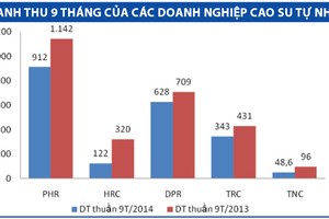Doanh nghiệp cao su tự nhiên đối mặt với 4 giảm