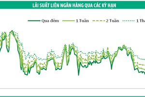 Lợi suất trái phiếu tăng nhẹ tuần đầu tháng 11
