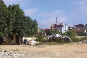 Dự án Vĩnh Hưng dự kiến khởi công sau Tết Nguyên đán Ất Mùi. Ảnh: H.D