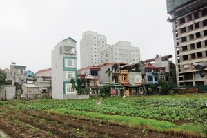 Đấu giá đất tại Hà Nội bất ngờ vượt kế hoạch