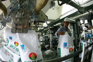 Số DN phải cổ phần hóa, thoái vốn 
giai đoạn 2014 - 2015 hiện tăng thêm 100, 
ở mức 532 DN
