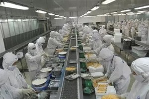 Nhiều doanh nghiệp đang mạnh tay đầu tư, mở rộng quy mô sản xuất và mở rộng thị trường phân phối, xuất khẩu