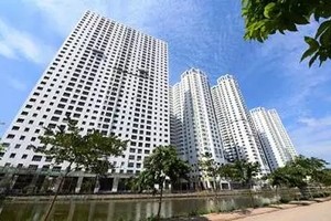 Dự án Mulberry Lane