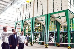 Dây chuyền chế biến cafe của Công ty Neumann Gruppe Việt Nam