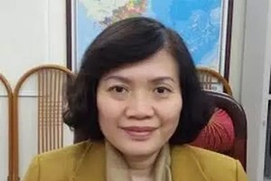 Bà Lê Thị Minh Thủy, Vụ trưởng Vụ Thống kê thương mại và dịch vụ, Tổng cục Thống kê (Bộ Kế hoạch và Đầu tư)